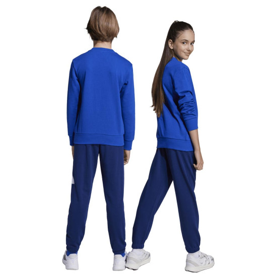 Adidas Παιδικές φόρμες σετ Essentials Big Logo French Terry Joggers Set